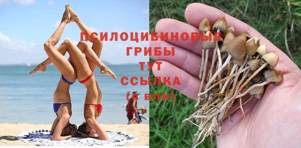 наркотики Абаза