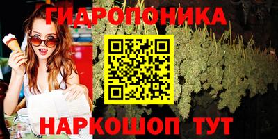 молекула духа Гусев