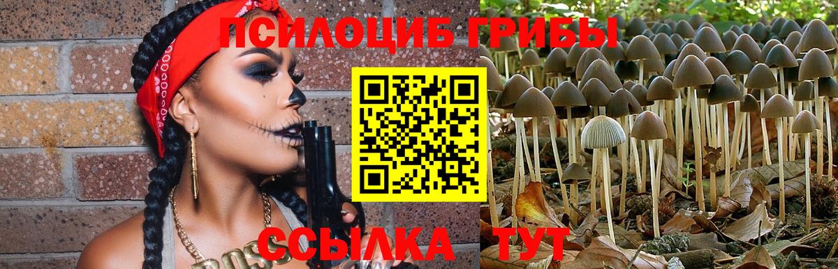 Галлюциногенные грибы мухоморы Владимир