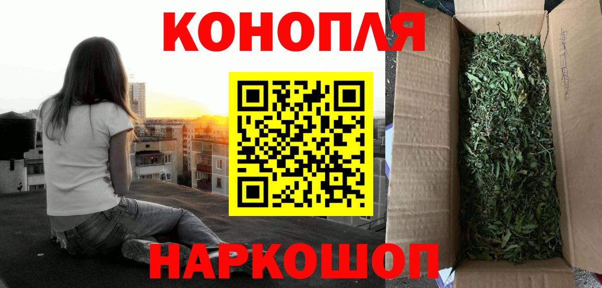 Каннабис марихуана Владимир